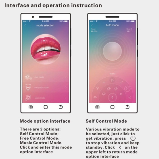 Вагинальные шарики Pretty Love Elvira